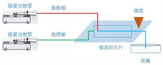 微流控单细胞分析 实验室微量注射泵